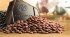 Шоколад горький BARRY Callebaut Бельгия 25 кг